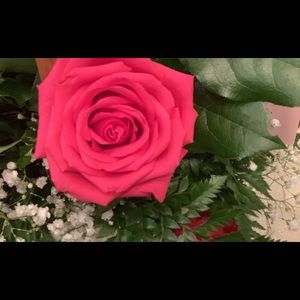 Meet your Posher, Rose